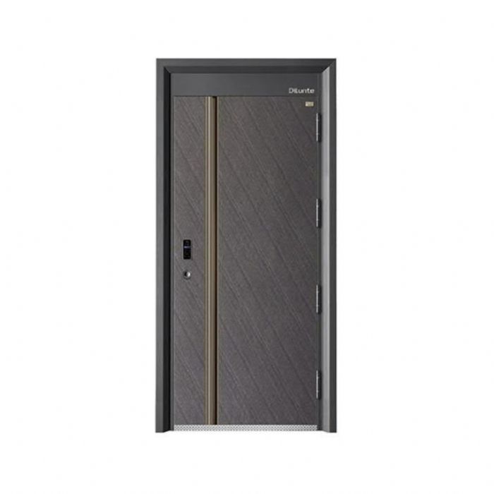 時(shí)尚青春智能門